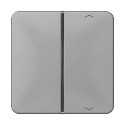 Taste 1fach Serie CD mit Pfeilsymbolen Auf/Ab / Thermoplast grau hochglänzend