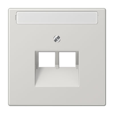 Abdeckung mit Schriftfeld / für IAE/UAE-Anschlussdosen und Datendosen (2 x 8-polig) / Thermoplast lichtgrau