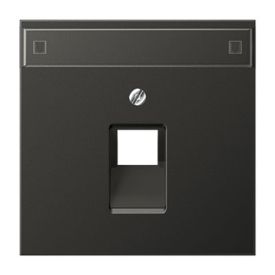 Abdeckung mit Schriftfeld / für IAE/UAE-Anschlussdosen und Datendose (1 x 8-polig) / Aluminium anthrazit lackiert