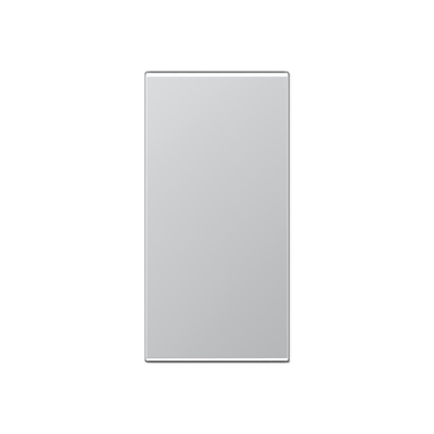Jung Abdeckung in Tastenfarbe F50 aluminium lackiert