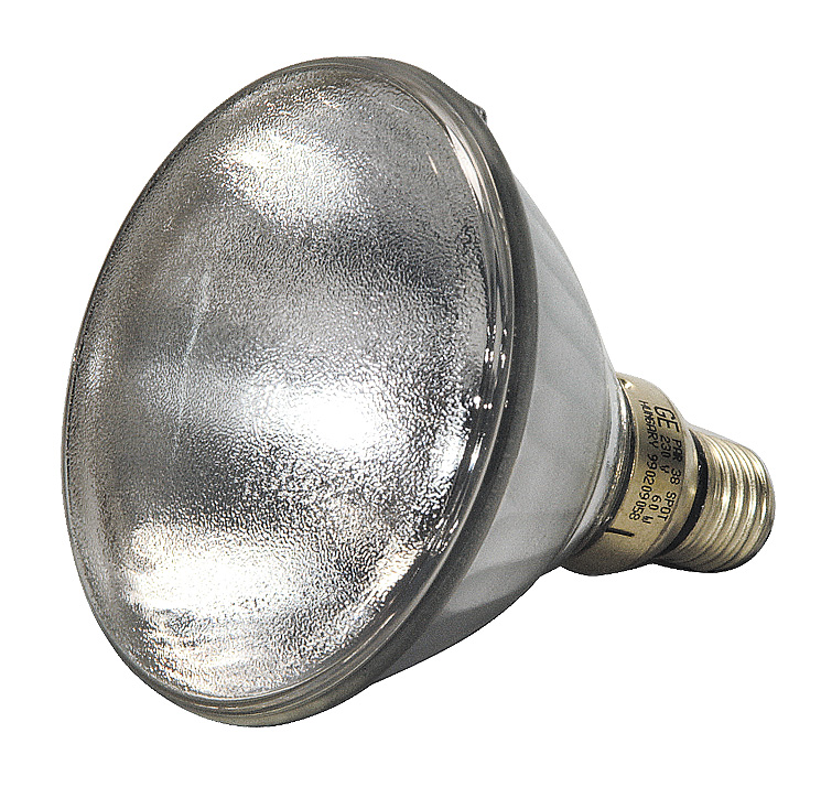 Economy Spotlampe PAR38 / 60W / E27 / klar