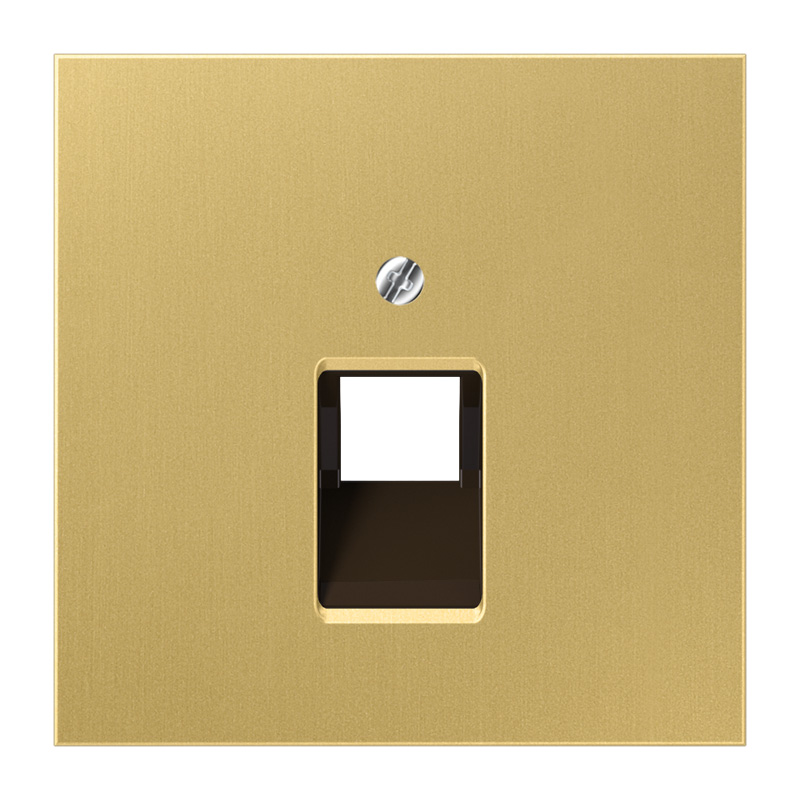JUNG Abdeckung für IAE/UAE-Anschlussdosen 1 x 8-polig, Messing, Serie LS, Messing classic