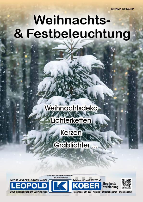 Katalog Weihnachts- und Festbeleuchtung